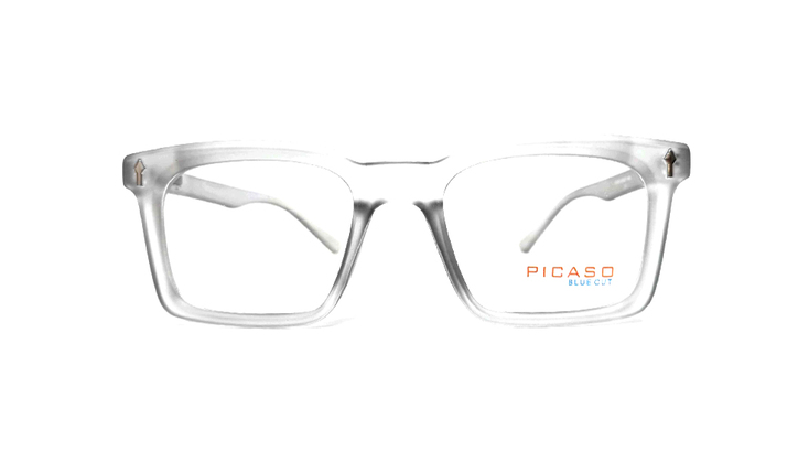 PICA0025