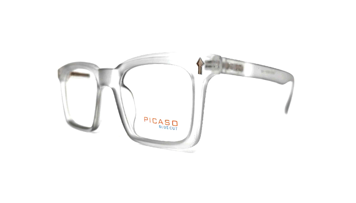PICA0025