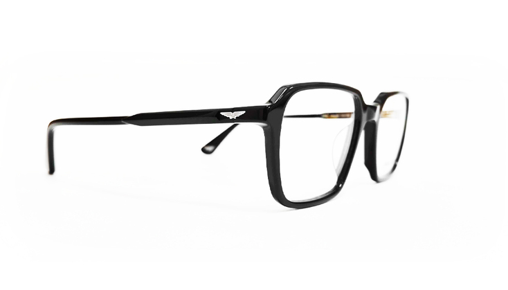 POLI0091