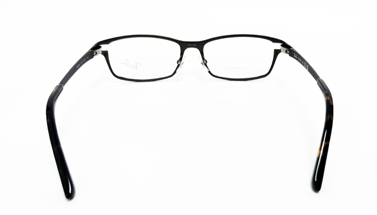 RAYB1063
