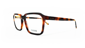 GUES0026