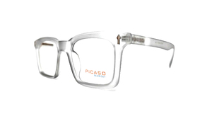 PICA0025