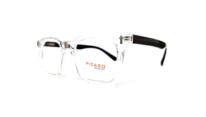 PICA0025