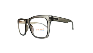 PICA0027