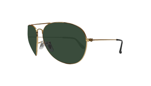 RAYB0931