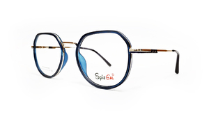 SPIE0017